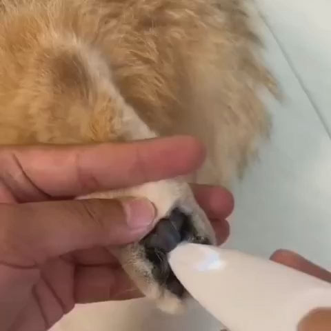 Evcil Hayvan Tüy Bakım Cihazı